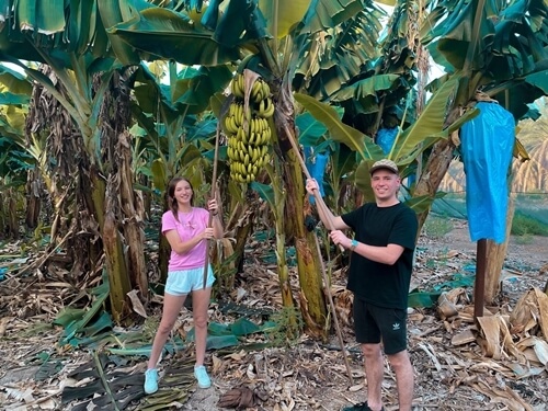 מרכבות הירדן